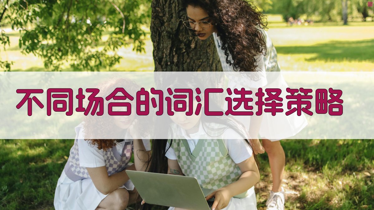 不同场合的词汇选择策略 图2