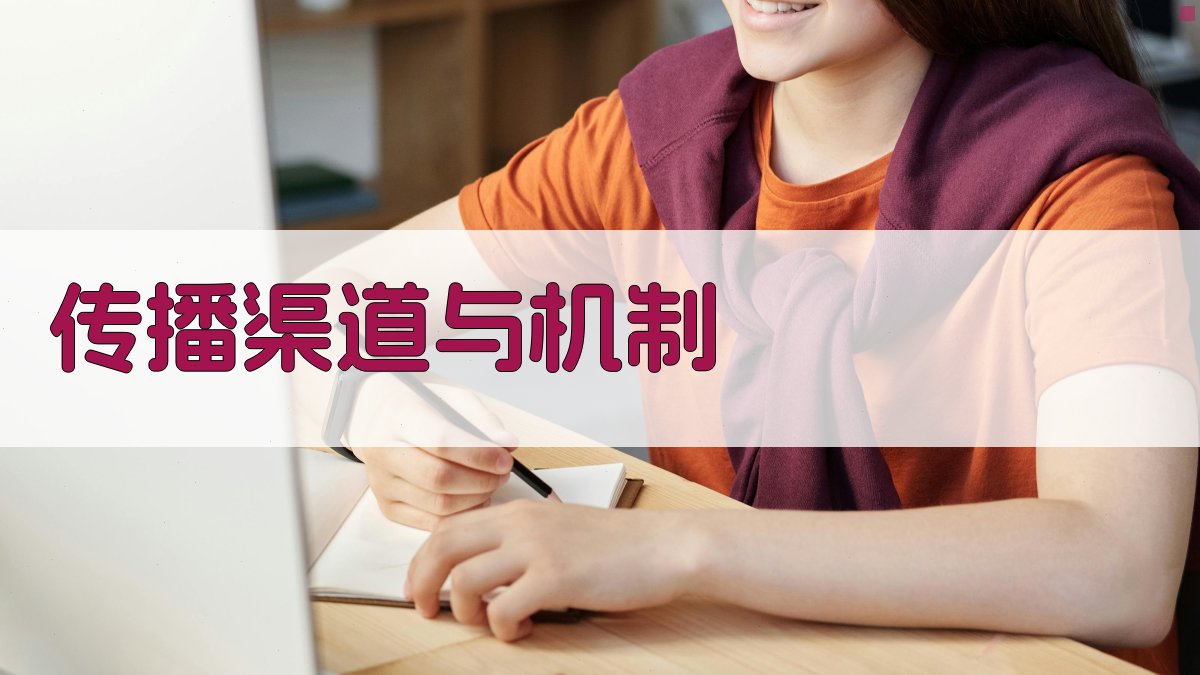 传播渠道与机制 图2