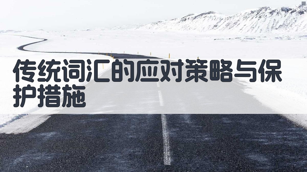 传统词汇的应对策略与保护措施 图3