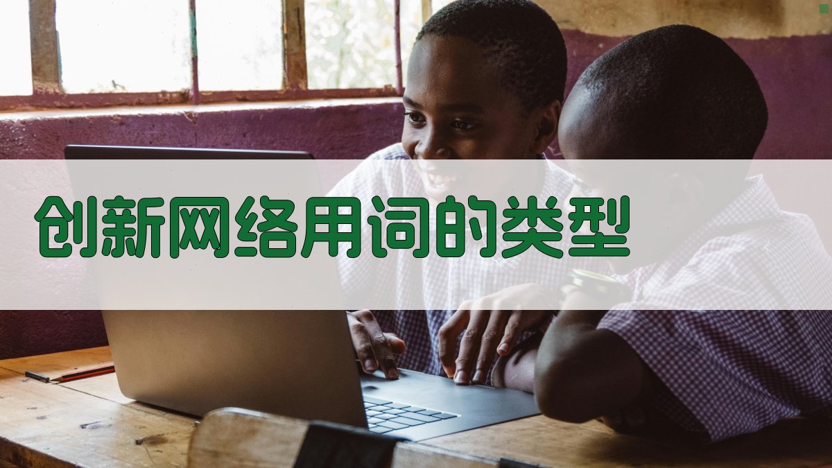 创新网络用词的类型 图2