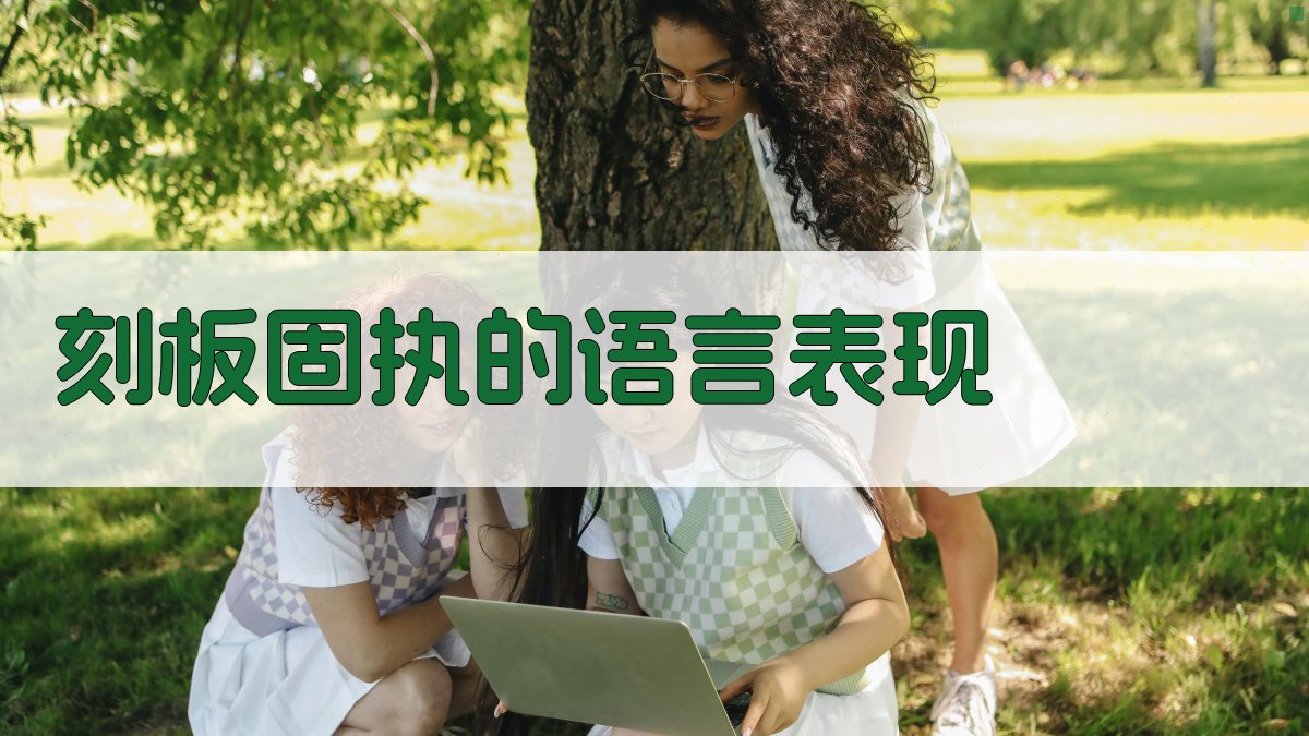 刻板固执的语言表现 图2