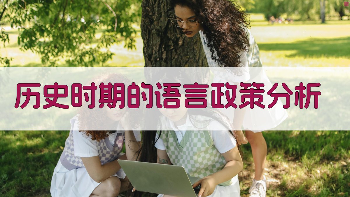 历史时期的语言政策分析 图1
