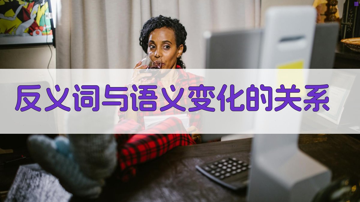 反义词与语义变化的关系 图2