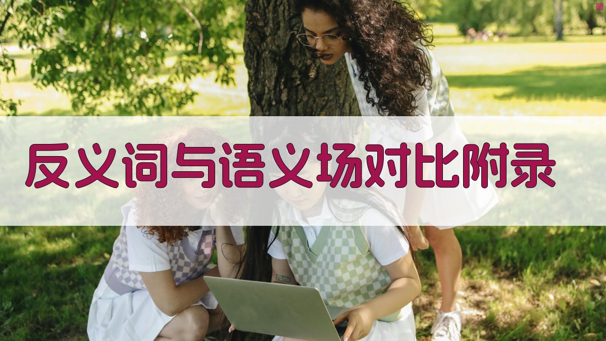 反义词与语义场对比 · 附录 图4