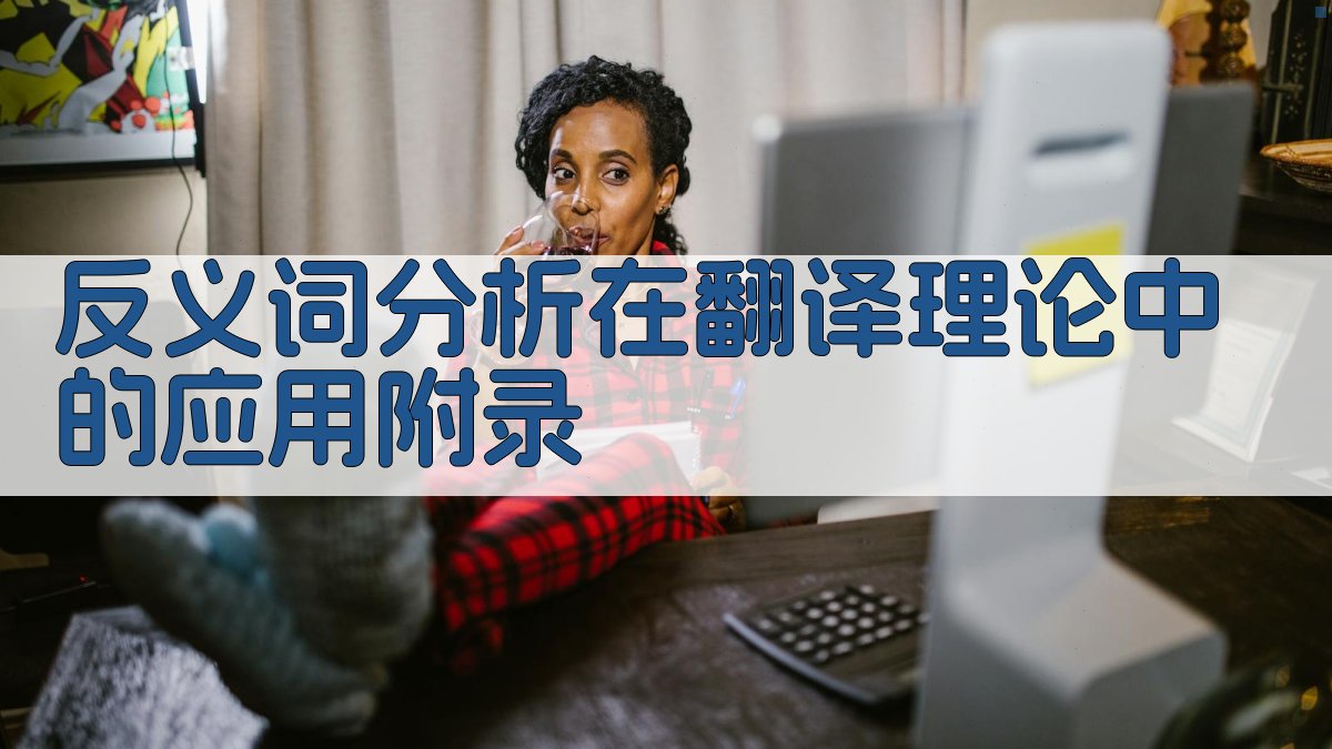 反义词分析在翻译理论中的应用 · 附录 图4