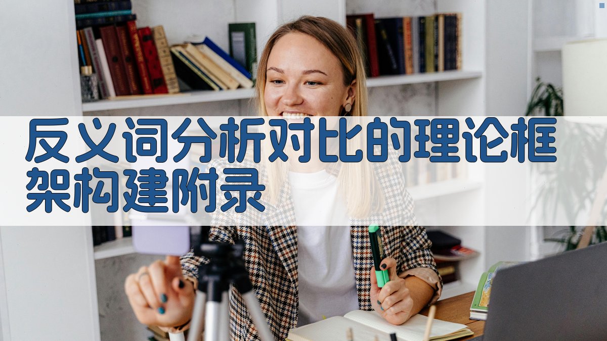 反义词分析对比的理论框架构建 · 附录 图3