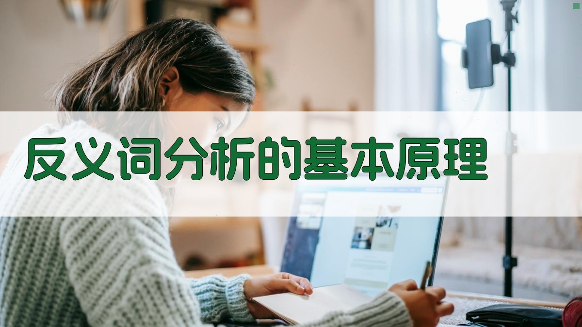 反义词分析的基本原理 图2