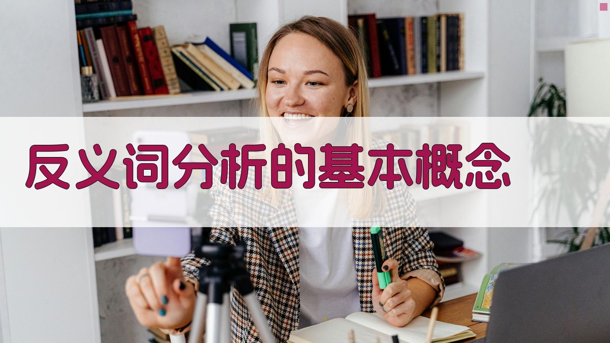 反义词分析的基本概念 图1