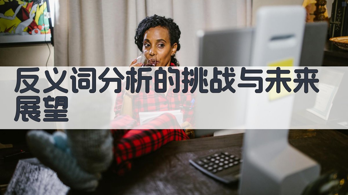 反义词分析的挑战与未来展望 图4