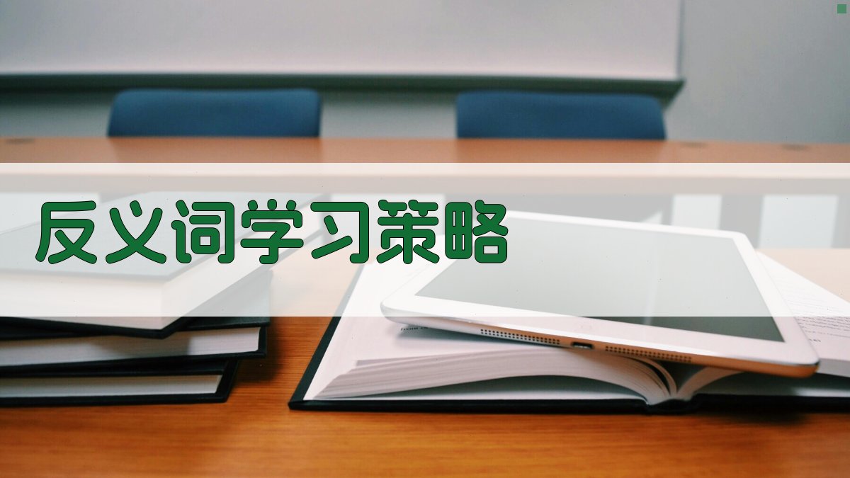 反义词学习策略 图2