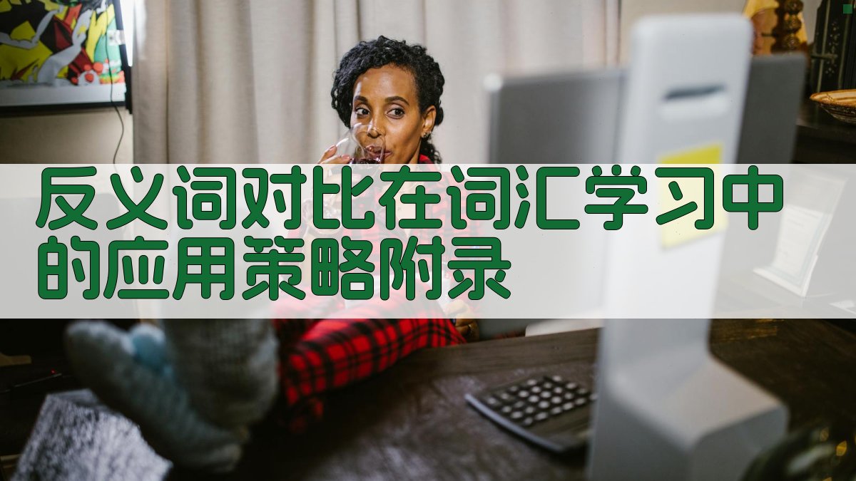 反义词对比在词汇学习中的应用策略 · 附录 图3