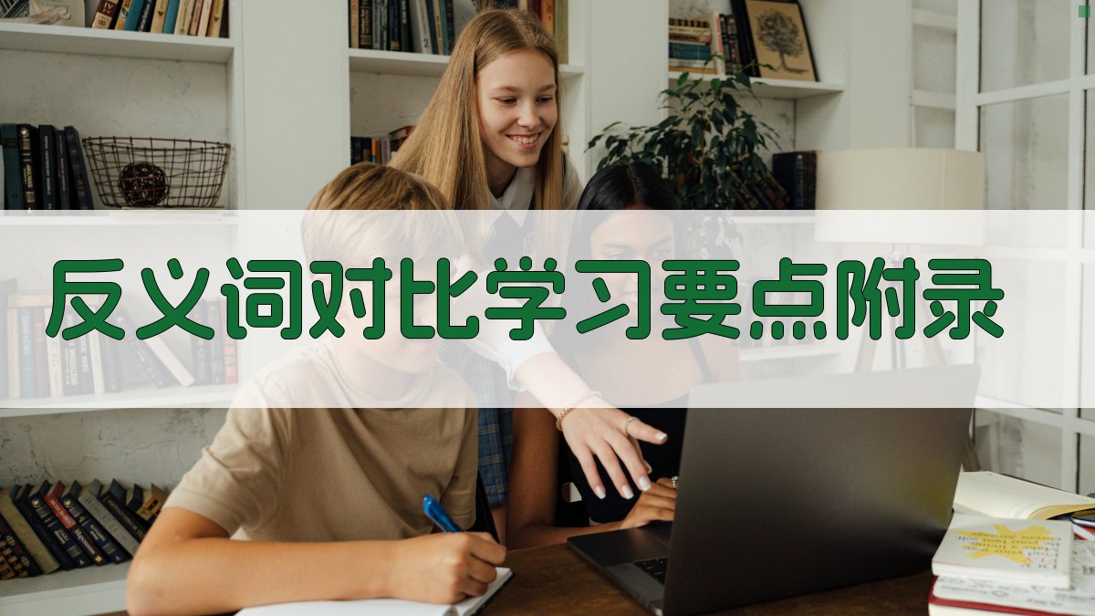 反义词对比学习要点 · 附录 图4