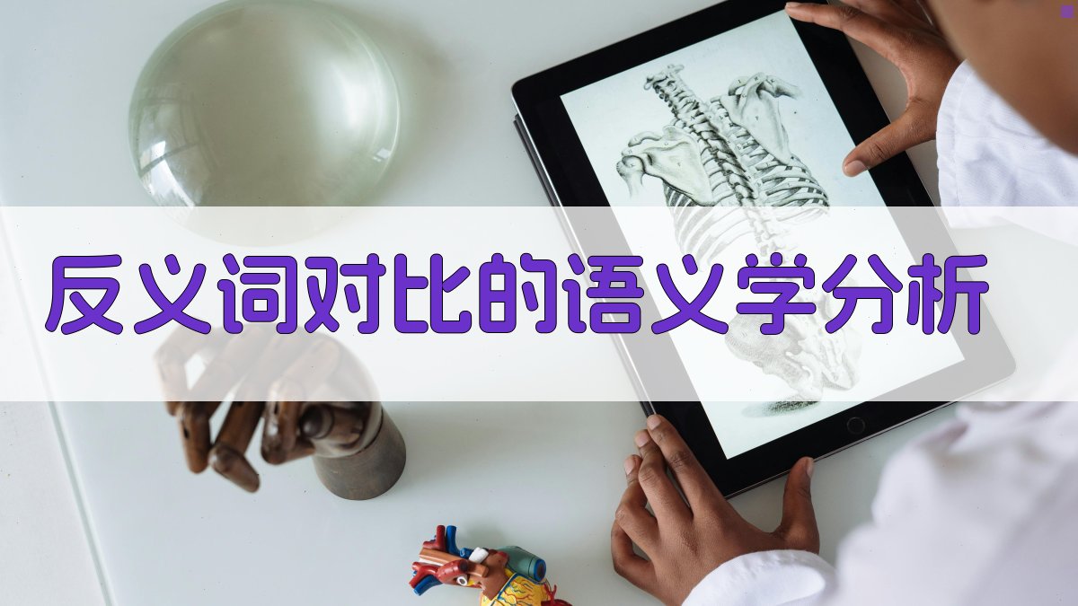 反义词对比的语义学分析 图2