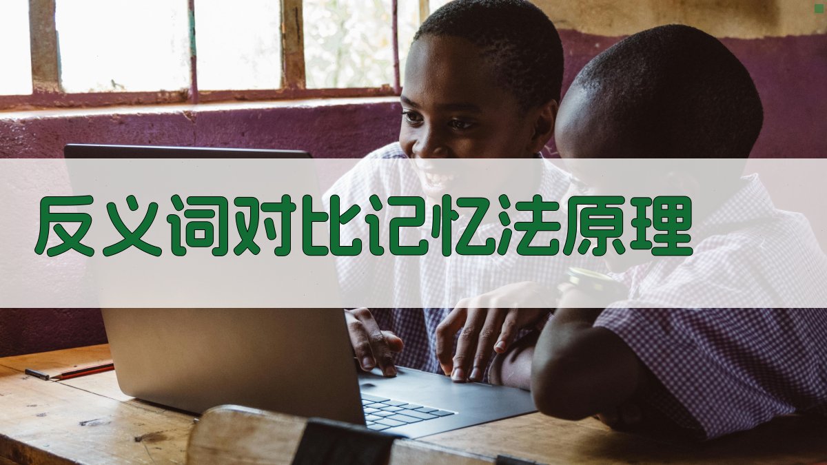 反义词对比记忆法原理 图1