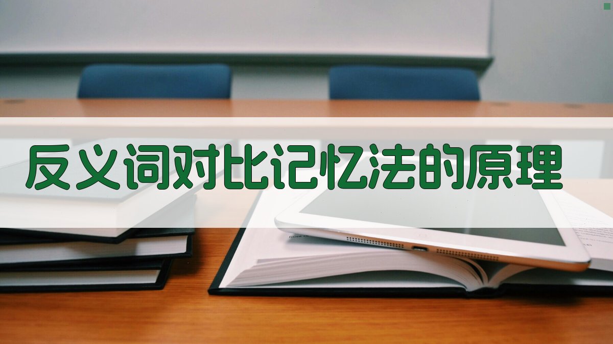 反义词对比记忆法的原理 图2