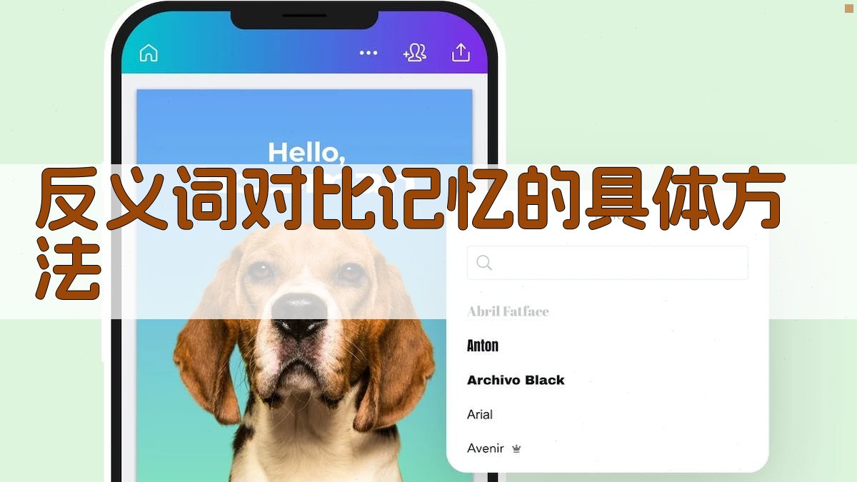 反义词对比记忆的具体方法 图3