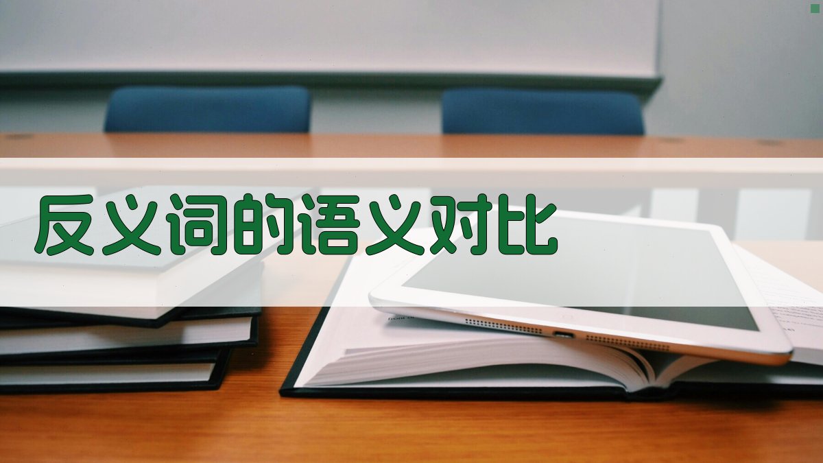 反义词的语义对比 图2