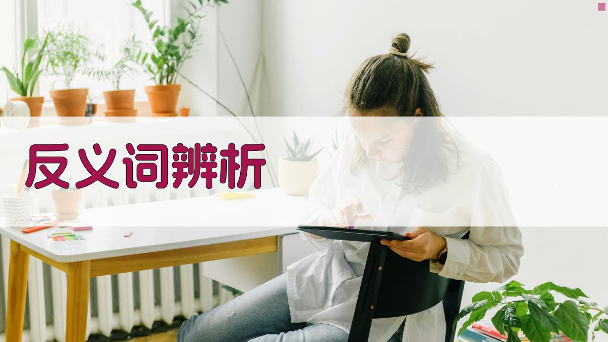 反义词辨析 图2