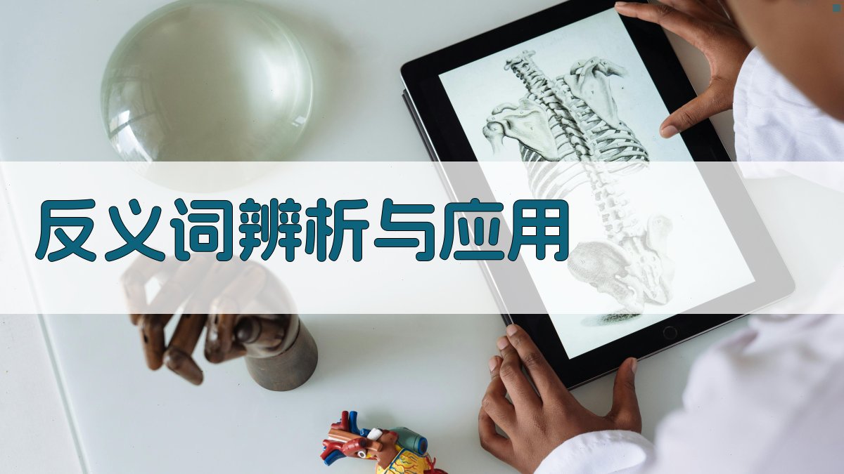 反义词辨析与应用 图2