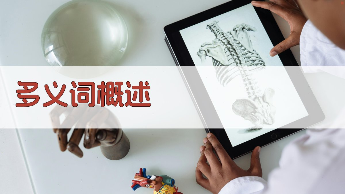 多义词概述 图1