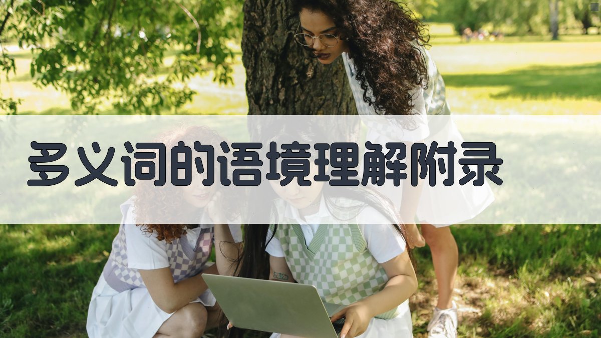 多义词的语境理解 · 附录 图4