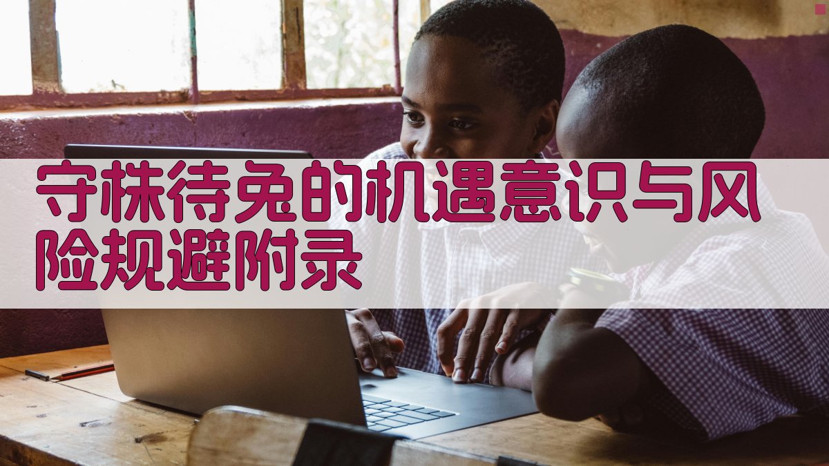 守株待兔的机遇意识与风险规避 · 附录 图3