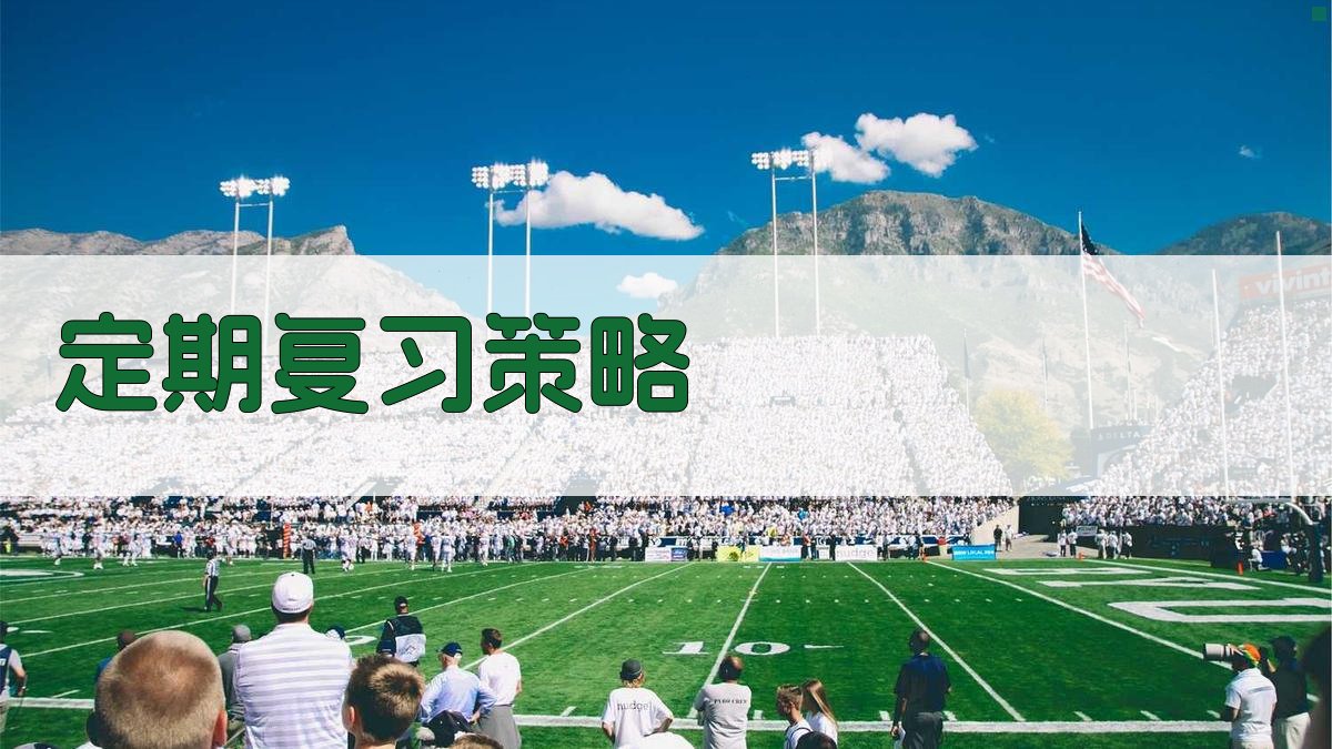 定期复习策略 图4