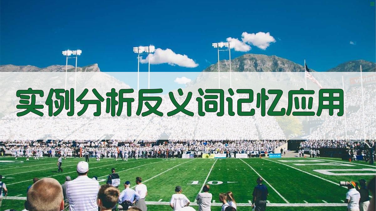 实例分析反义词记忆应用 图4