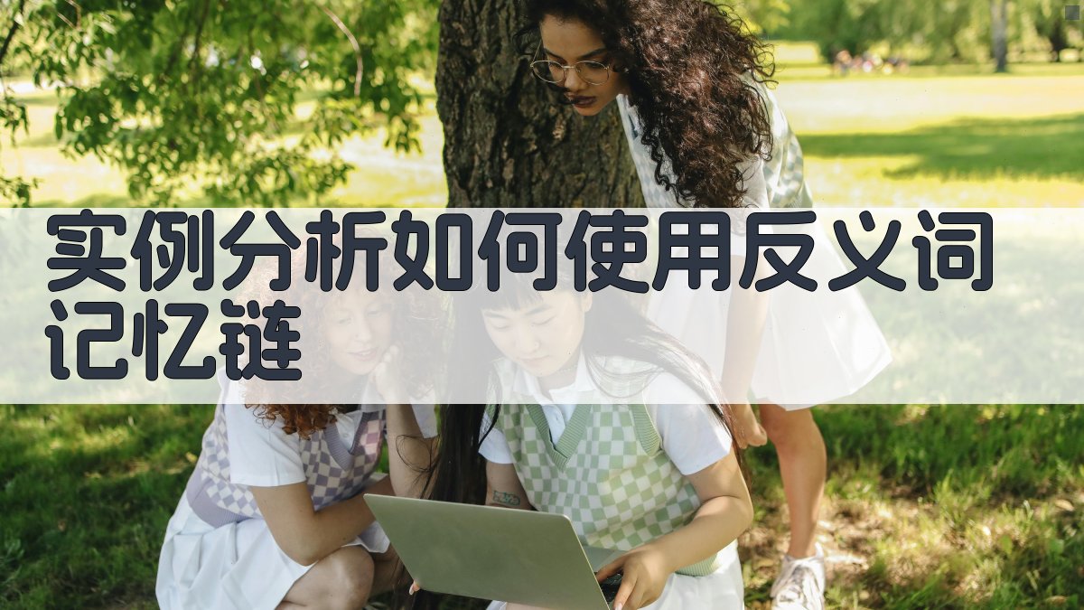 实例分析如何使用反义词记忆链 图2