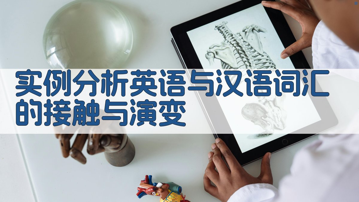 实例分析英语与汉语词汇的接触与演变 图2