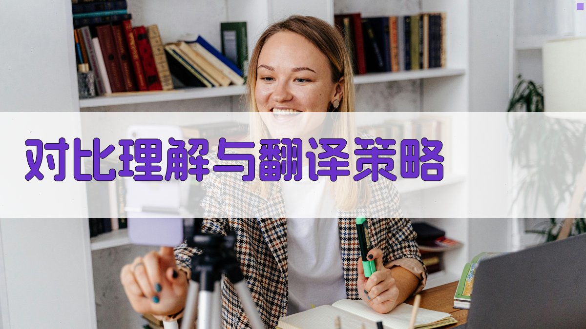 对比理解与翻译策略 图3