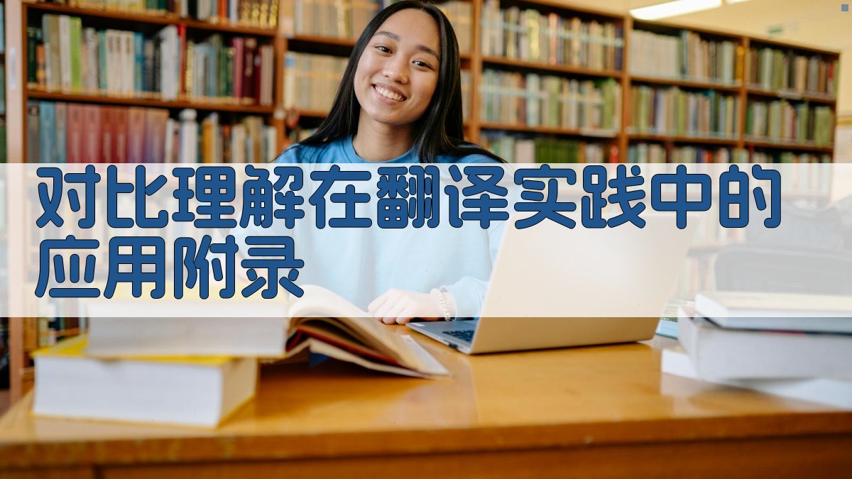对比理解在翻译实践中的应用 · 附录 图5