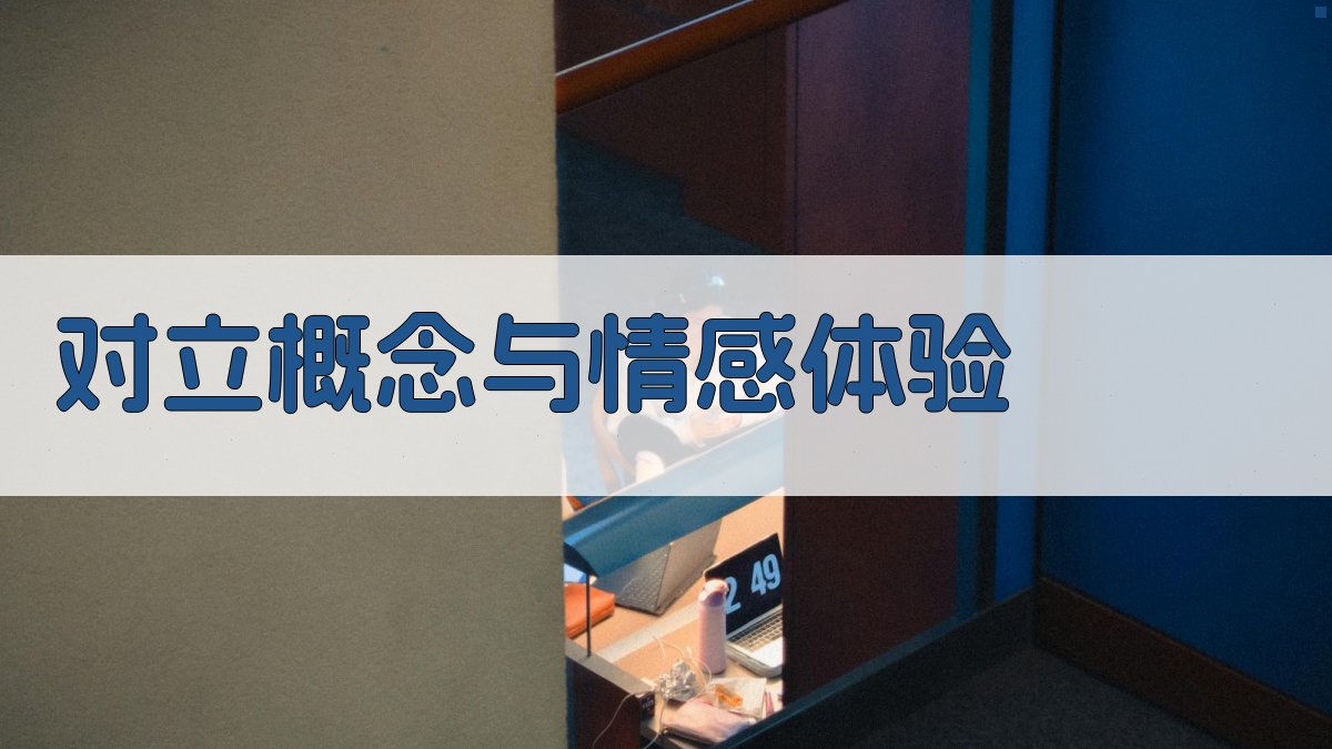 对立概念与情感体验 图4