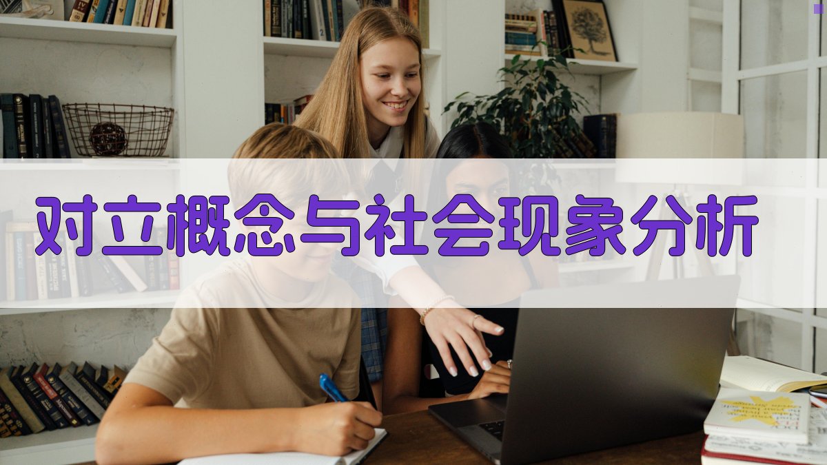 对立概念与社会现象分析 图4