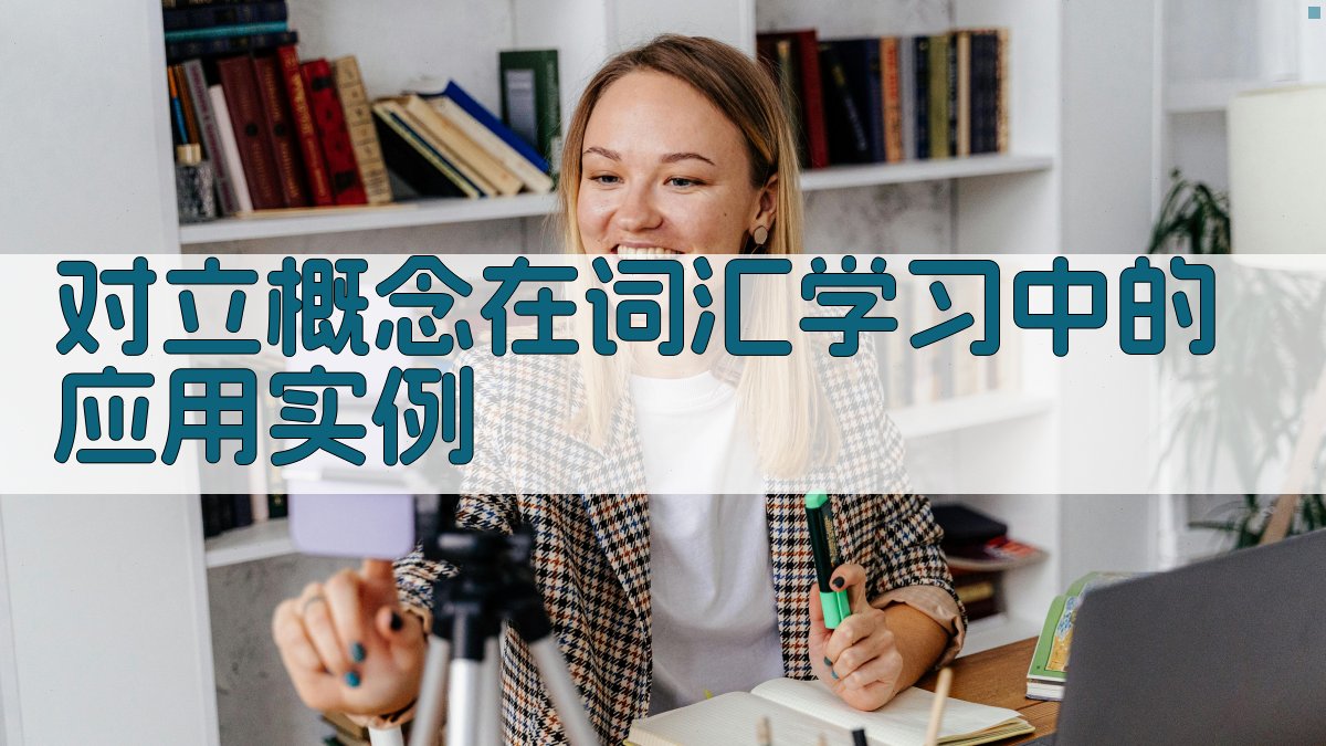 对立概念在词汇学习中的应用实例 图1