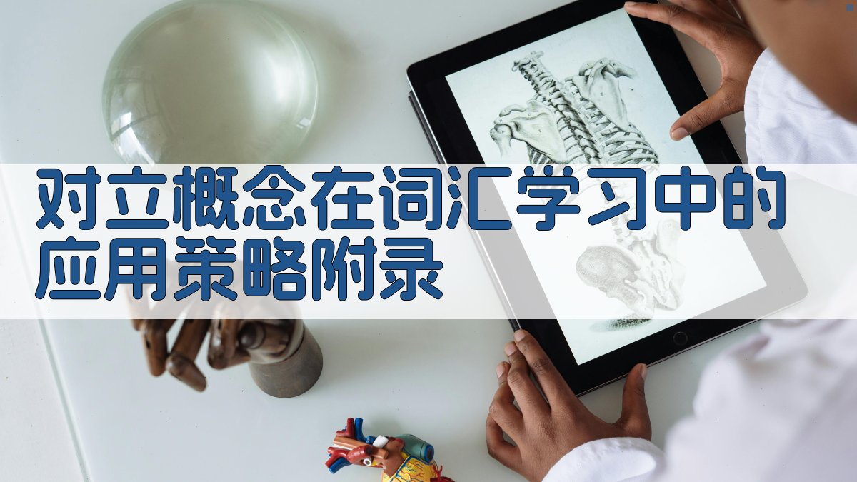 对立概念在词汇学习中的应用策略 · 附录 图1