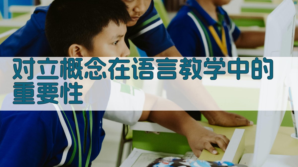 对立概念在语言教学中的重要性 图3