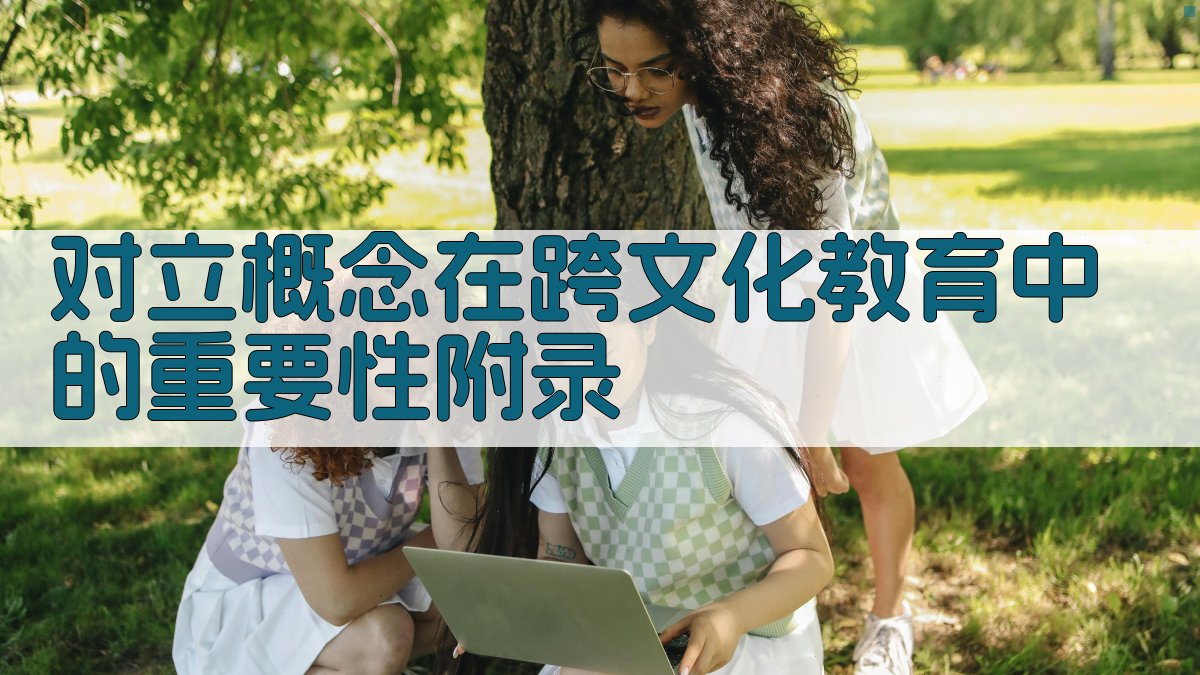 对立概念在跨文化教育中的重要性 · 附录 图5