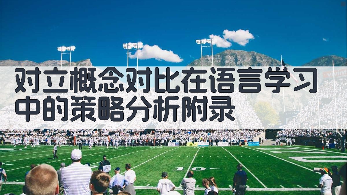 对立概念对比在语言学习中的策略分析 · 附录 图4