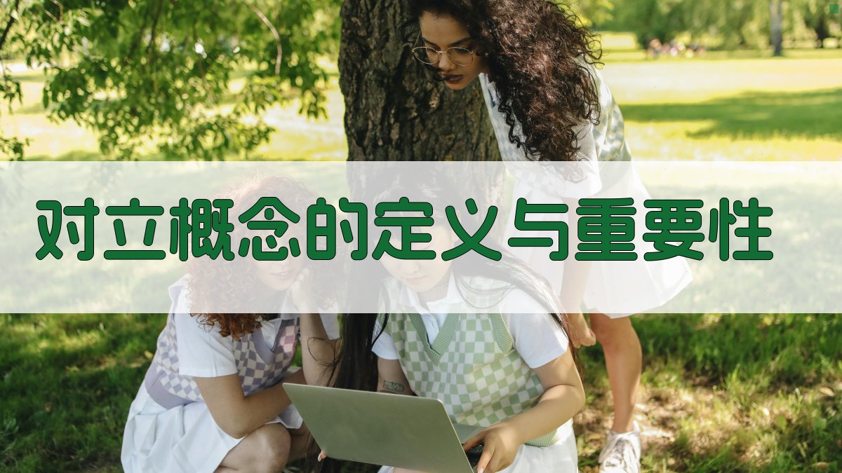对立概念的定义与重要性 图1