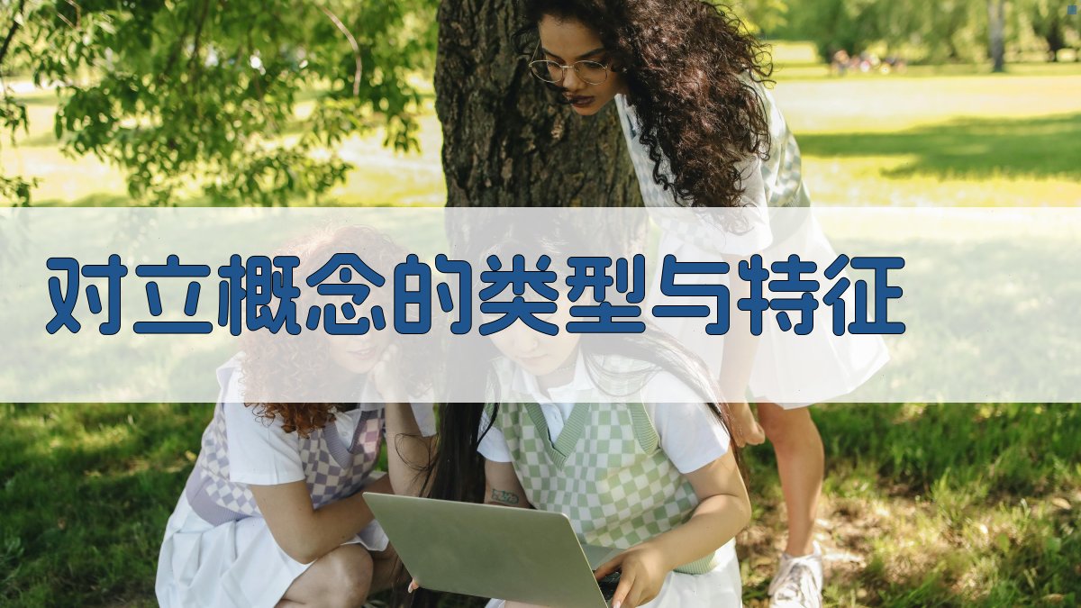 对立概念的类型与特征 图2