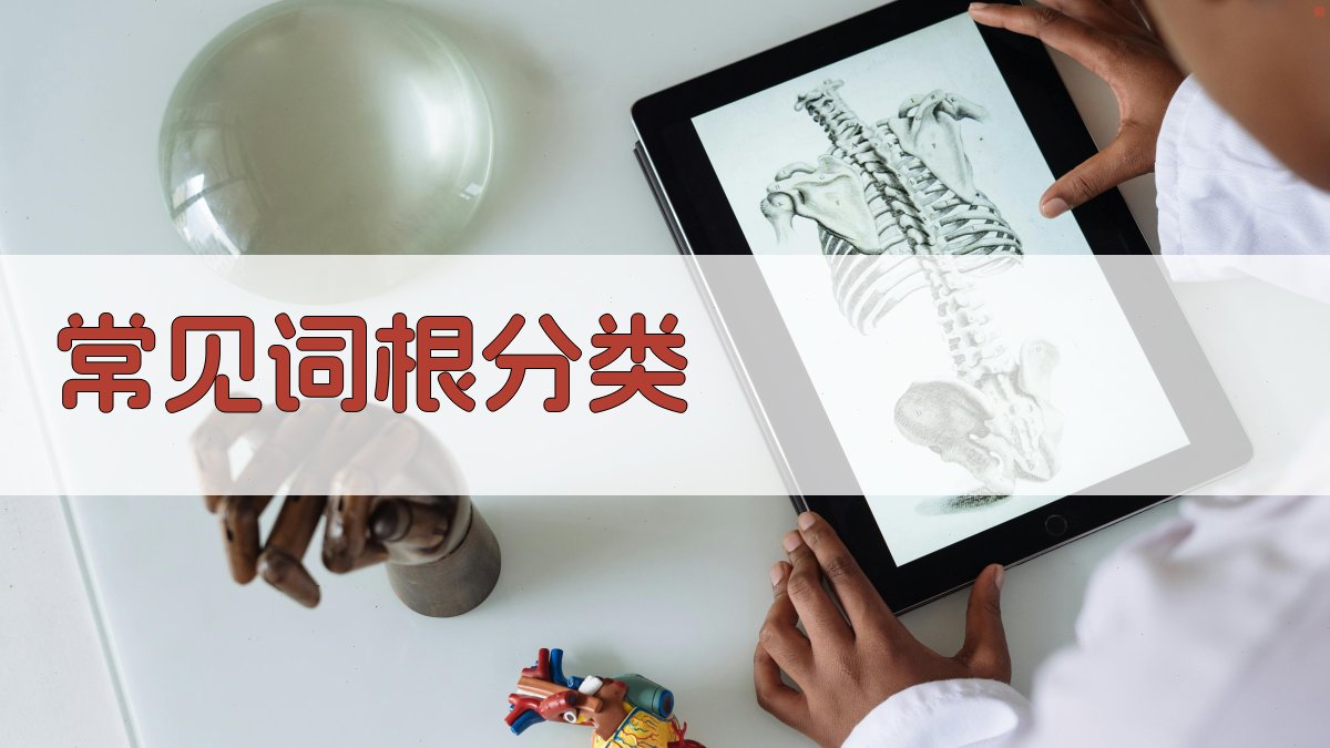 常见词根分类 图1