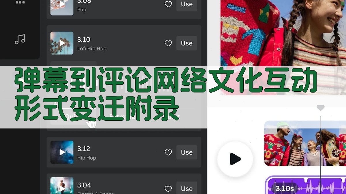 弹幕到评论网络文化互动形式变迁 · 附录 图4