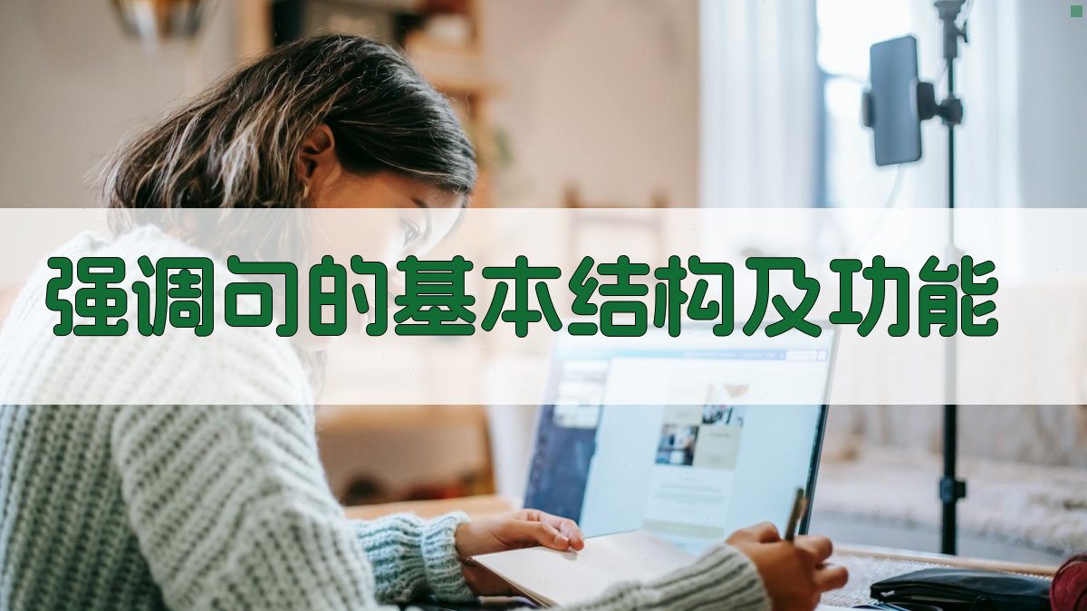 强调句的基本结构及功能 图1