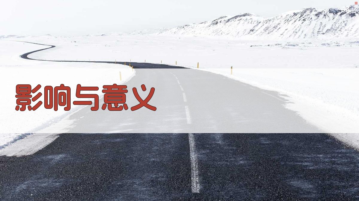 影响与意义 图4