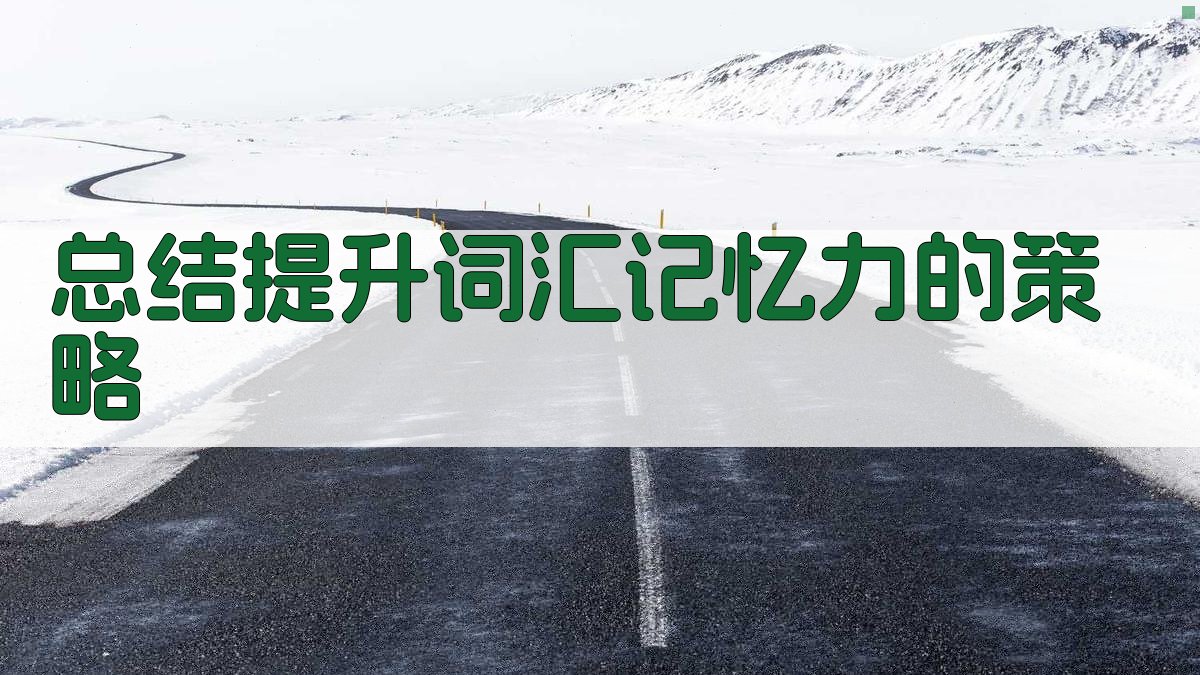 总结提升词汇记忆力的策略 图4