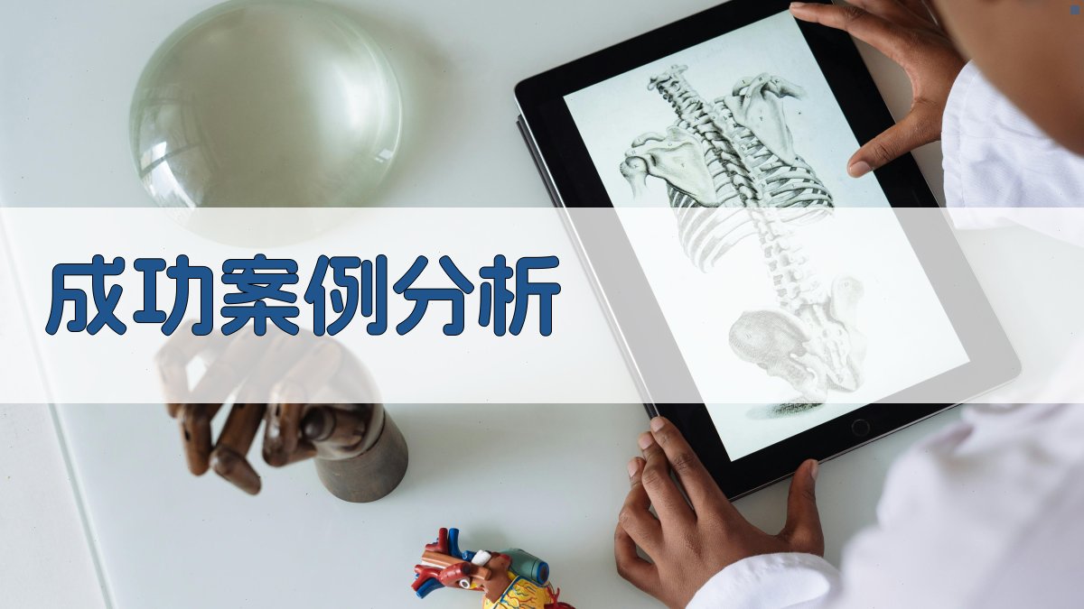 成功案例分析 图1