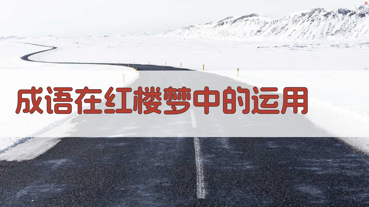 成语在《红楼梦》中的运用 图2