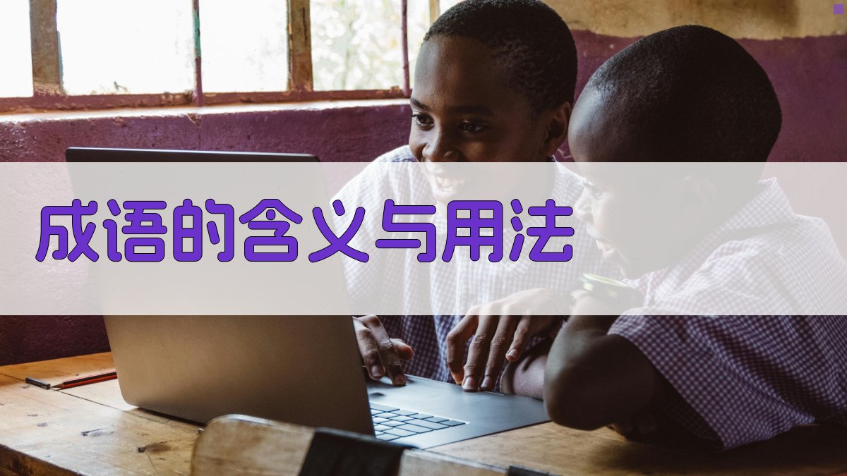 成语的含义与用法 图1