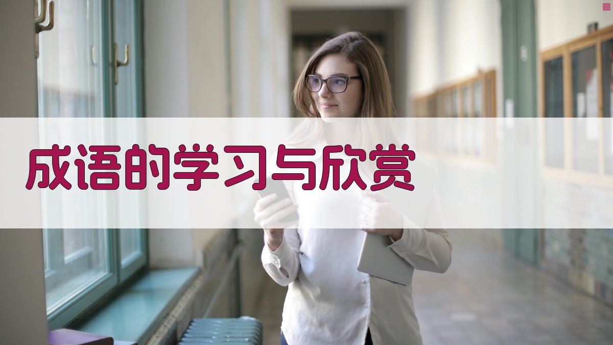 成语的学习与欣赏 图5